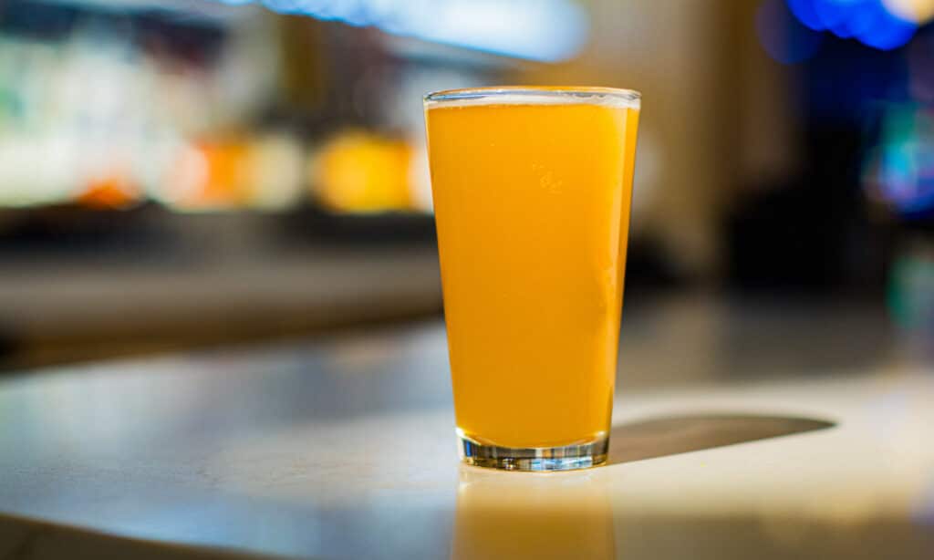 Pint of Skydance Fancy Dance IPA on the bar at the Gold Spur Bar inside Golden Mesa Casino & Hotel.